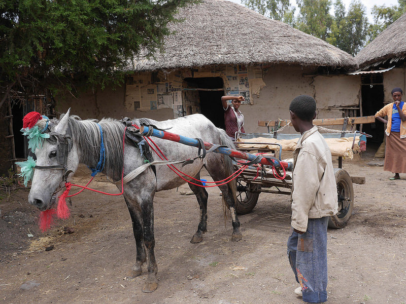 Etiyopya taşımacılık